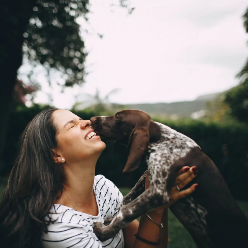 Your Pet Vet