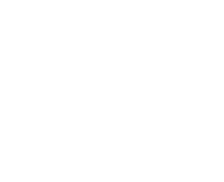 Accessible Website Audit